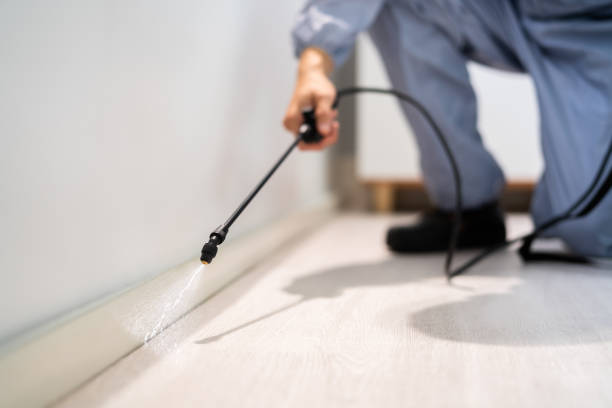 Licensed Termite Control service in Burt County County, NE - Nex Pest Control