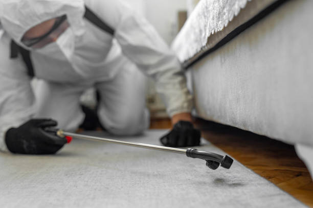 Professional Termite Control technician working in Burt County County, NE